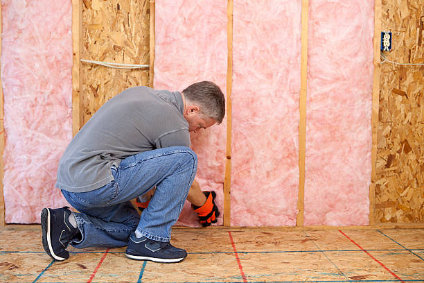 Best Residential Insulation in Meadowood, PA