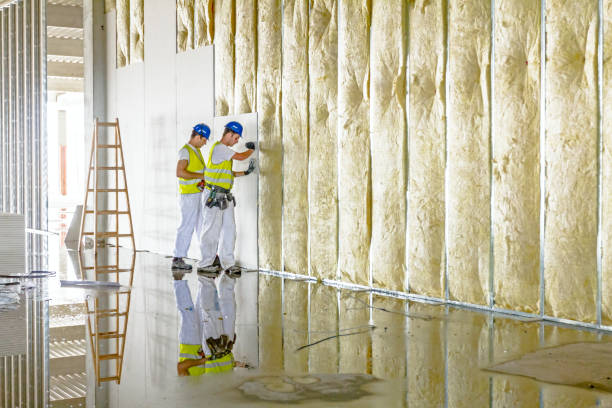 Best Insulation Maintenance and Repair in Meadowood, PA